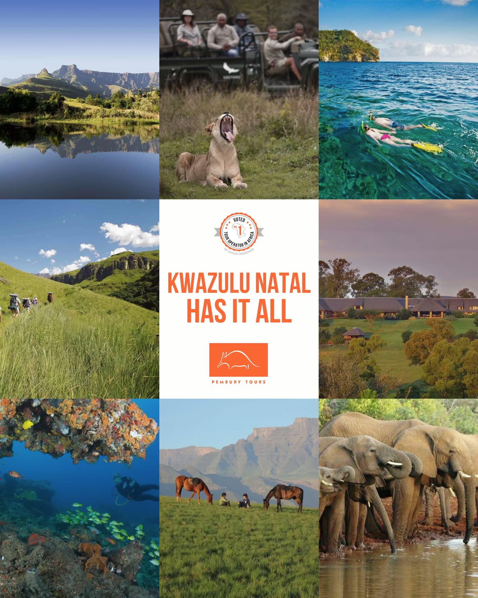 Discover KZN: Eight Wonders, One Unforgettable Journey - Image 1