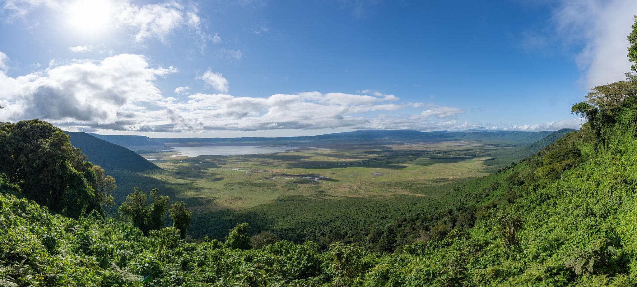 Best Seasons for a Tanzania Safari: When the Wild Comes Alive Across the Plains - Image 2