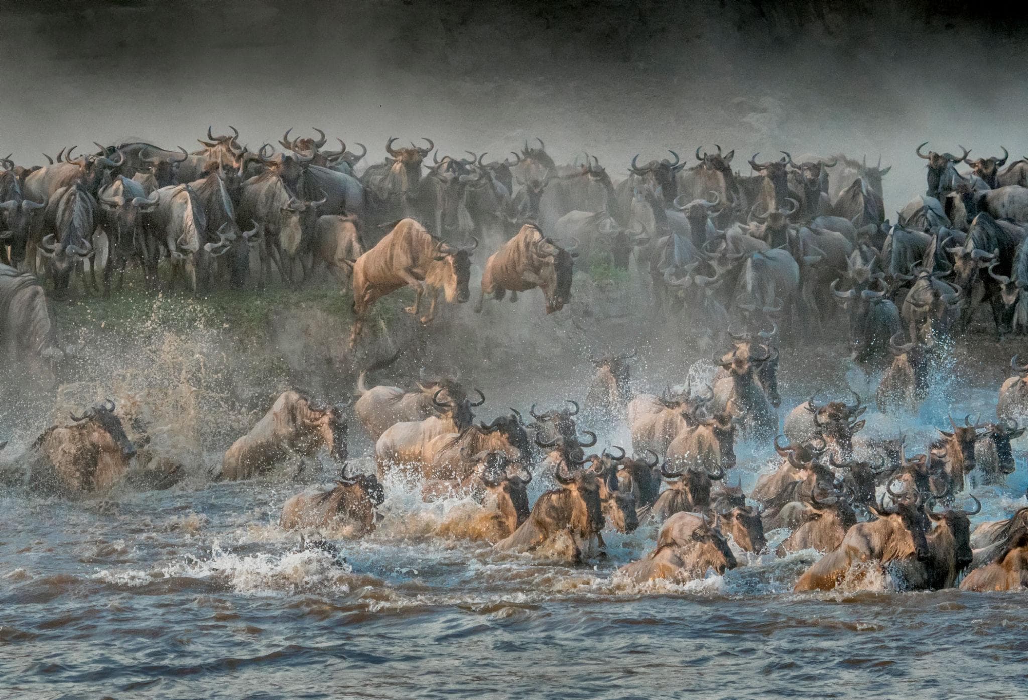 Discover Tanzania: Where Every Safari Becomes an Unforgettable Story - Image 8