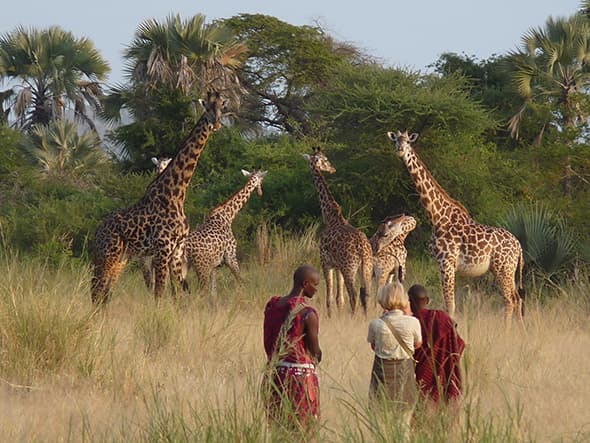 Arusha National Park Day Trip - Image 7