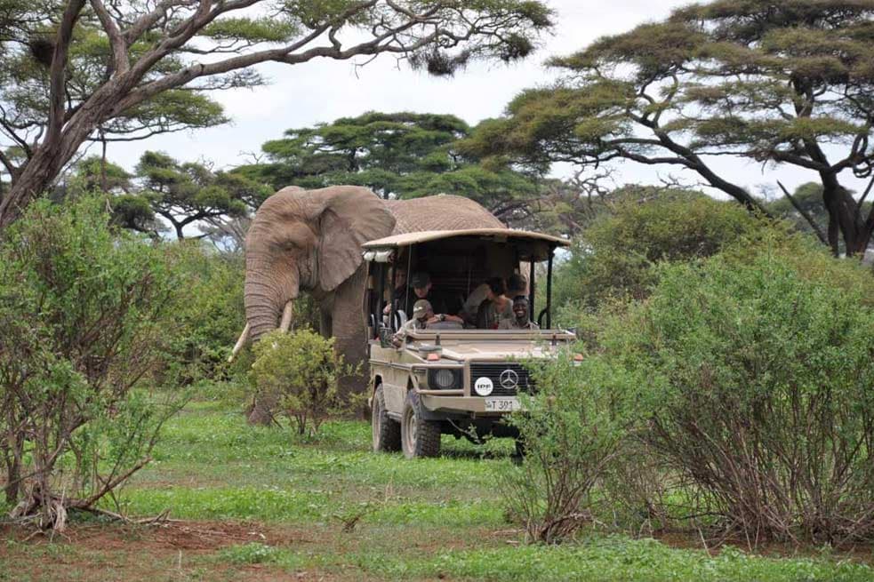 Arusha National Park Day Trip - Image 5
