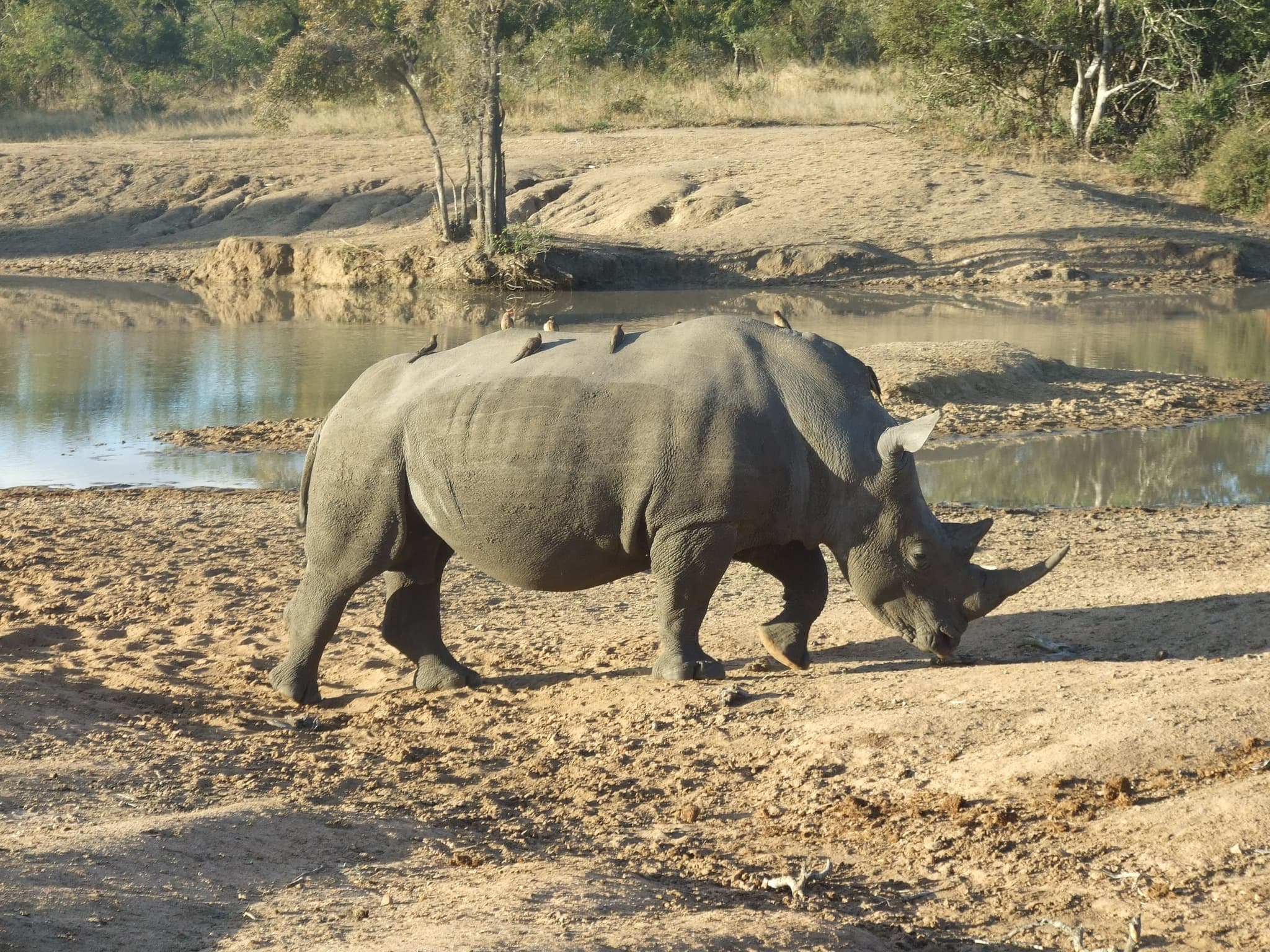 5 Day Kruger Park & Panorama Route Tour - Image 1