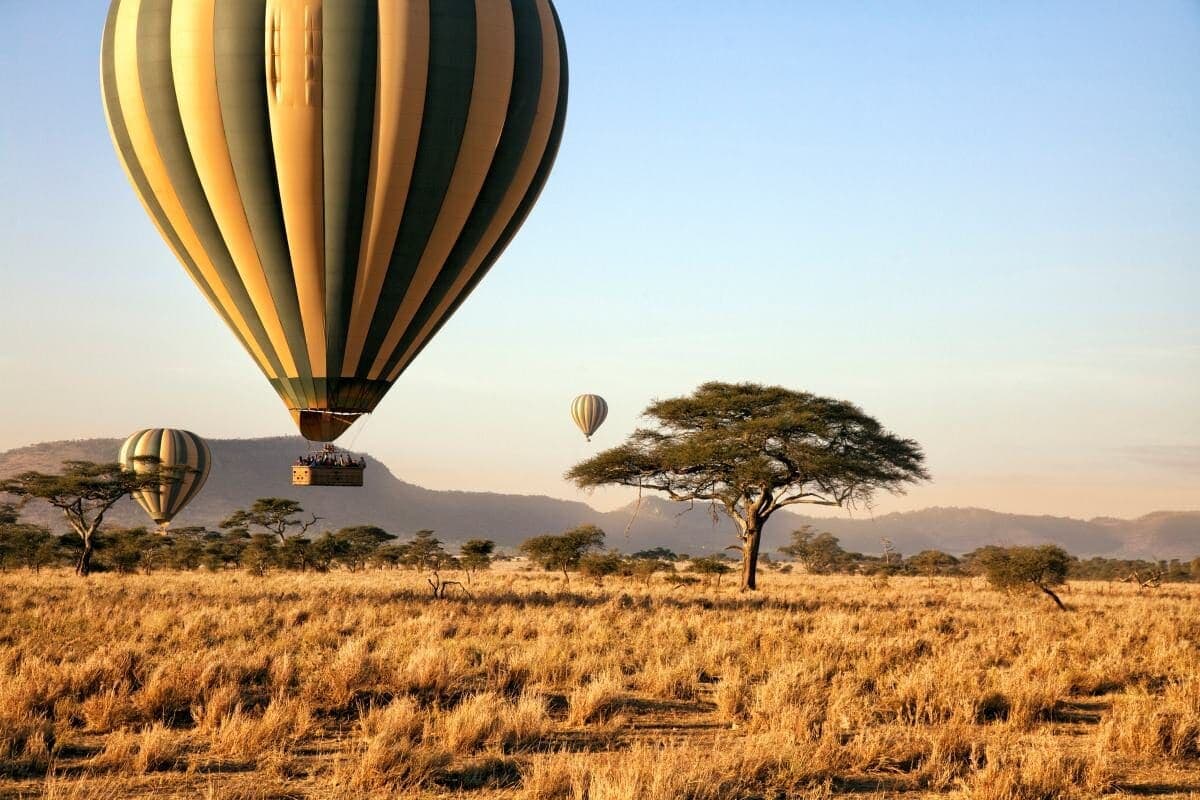 2026年最佳非洲Safari之旅:塞伦盖蒂平原夺冠 - Image 1