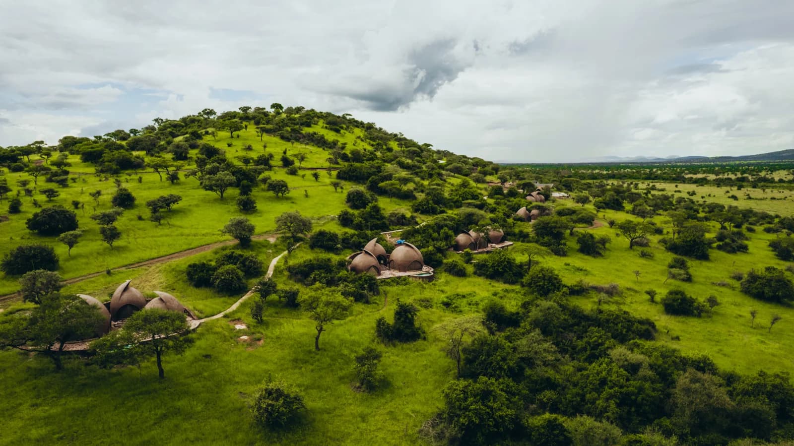 Asanja Nyasirori