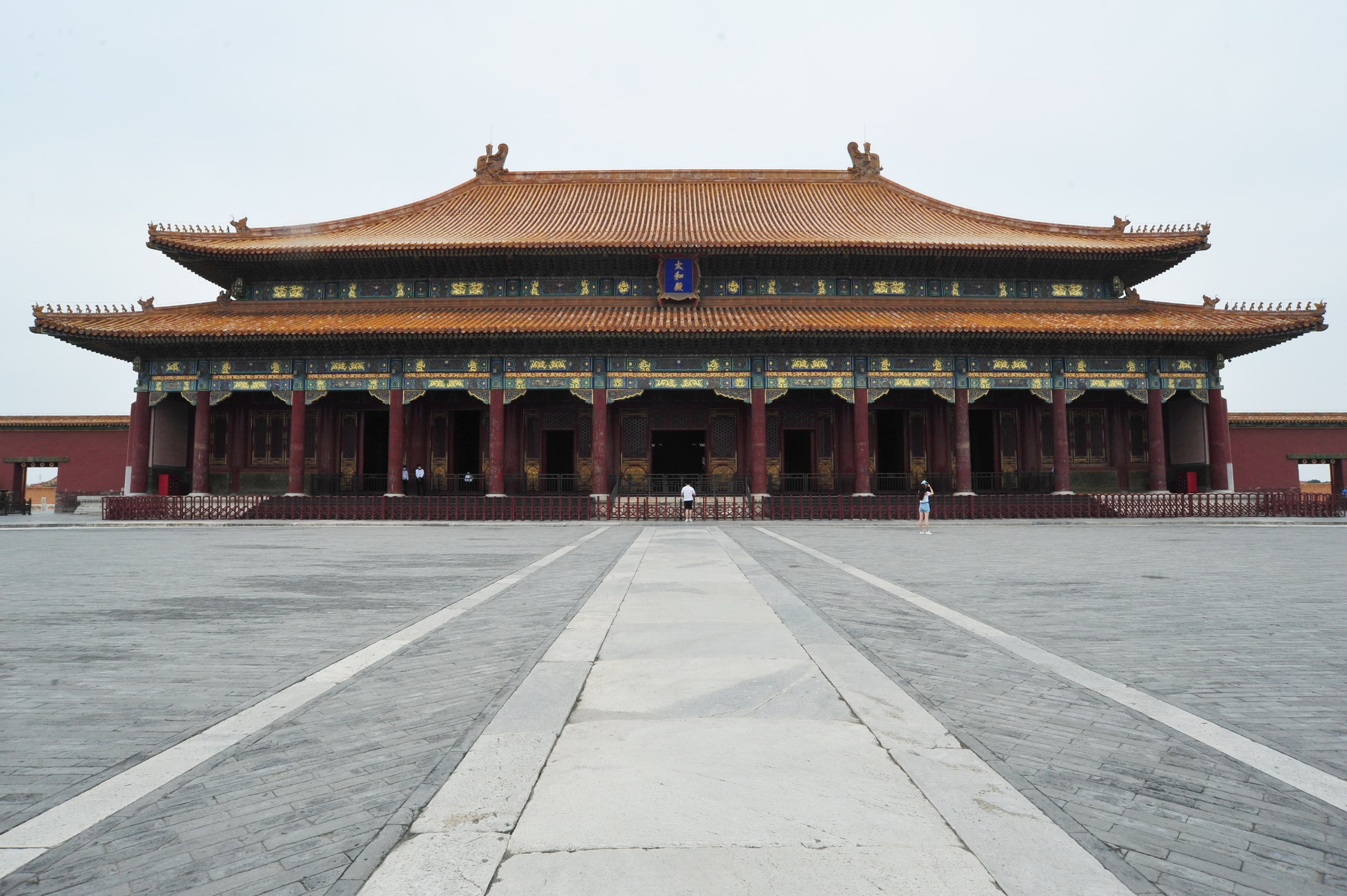 野性中国 - 3