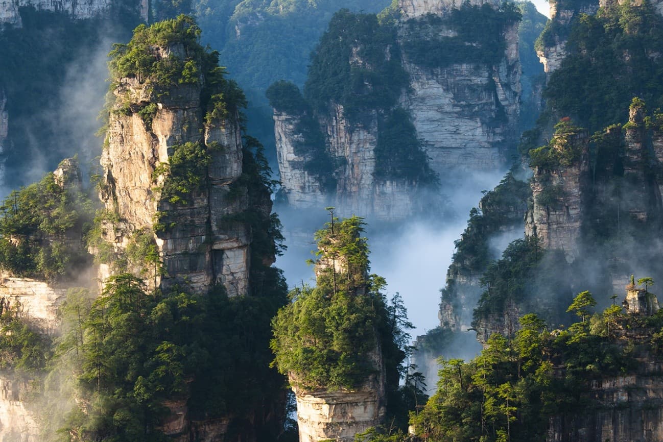 野性中国 - 1