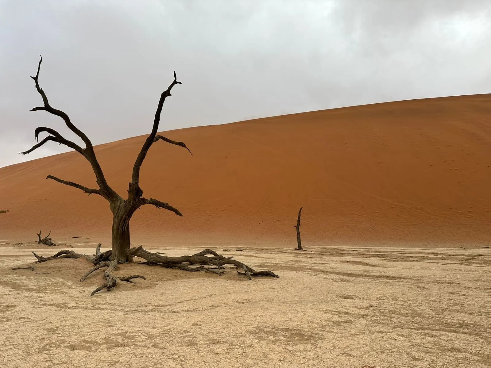 13 Days - Best of Namibia - 3
