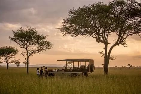 Karoo&kruger Park 7天/6晚