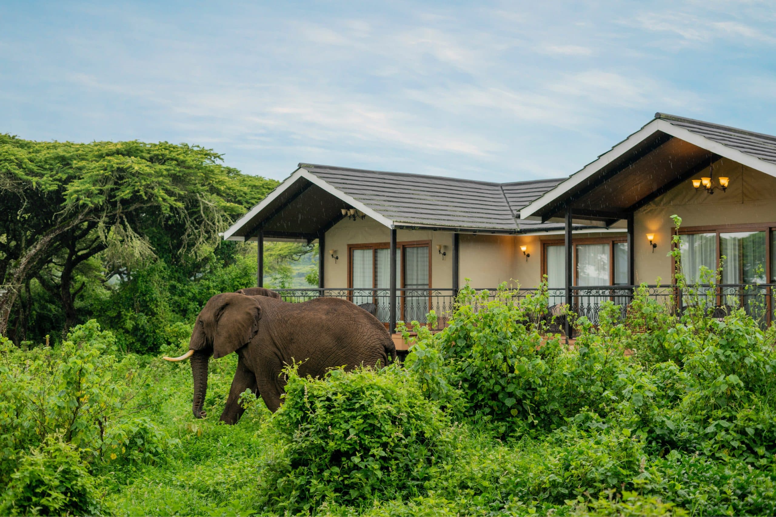 NyEmbalakai Ngorongoro Camp