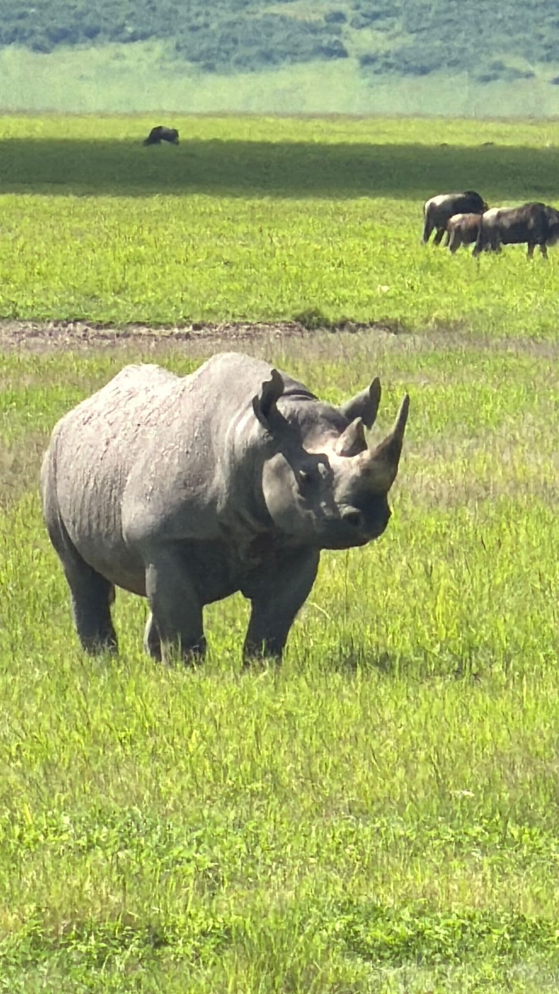 3天豪华Safari和马特鲁尼瀑布之旅