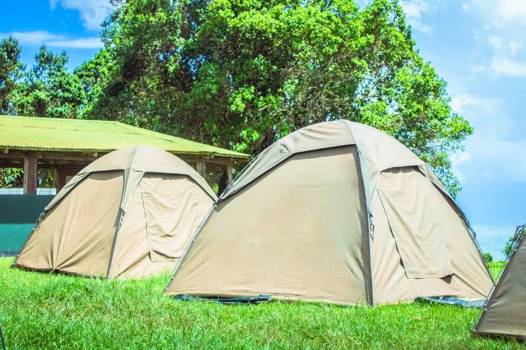 Ngorongoro Simba Campsite.