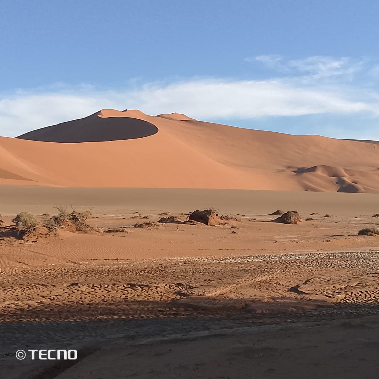 7日游:沙丘、海岸、Safari - 1
