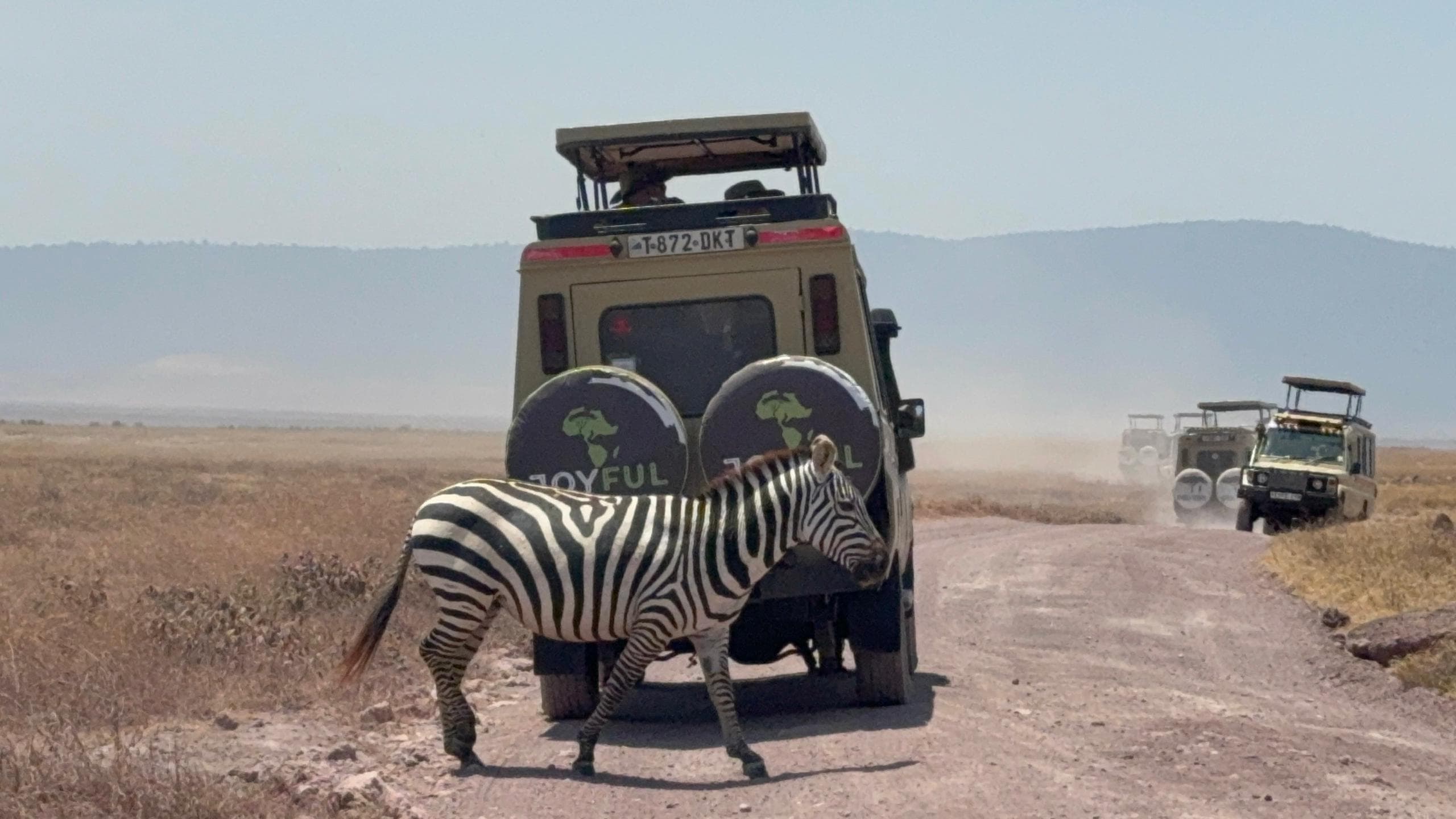 2天Tarangire Ngorongoro豪华往返Safari - 2