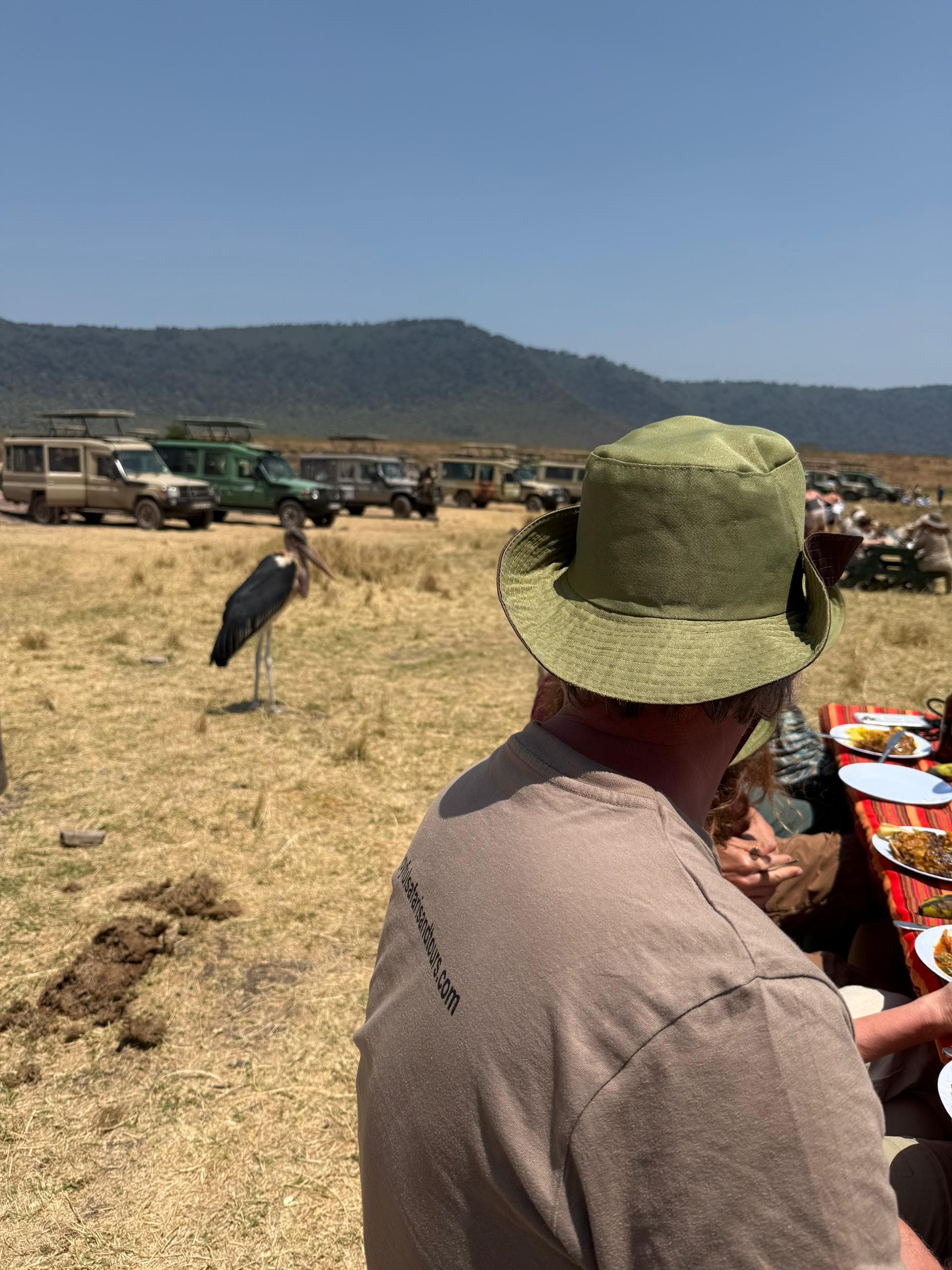 3天史诗GlampingSafari-Tarangire-Ngorongoro&Manyara - 3