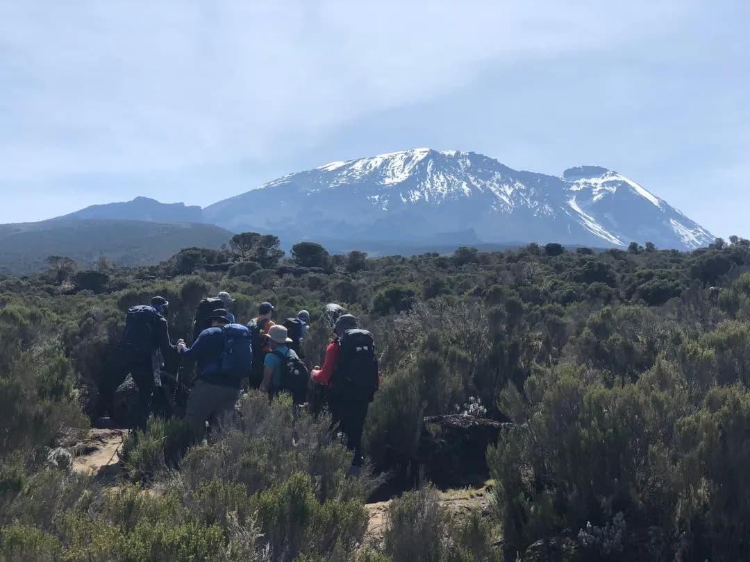 6天乞力马扎罗山徒步-马查姆路线