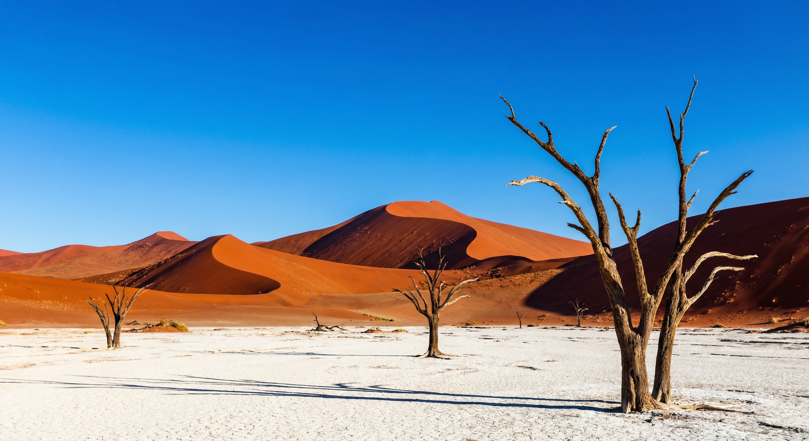 纳米比亚 · 沙漠幻境